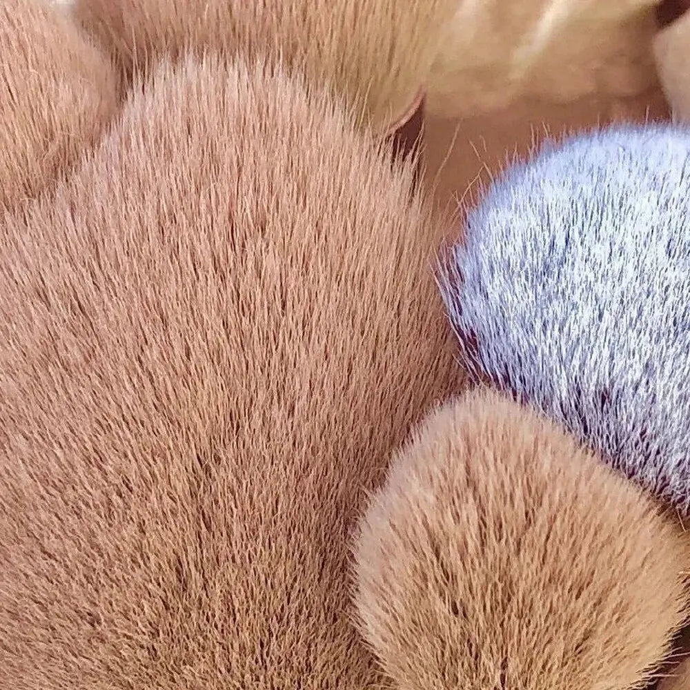 Juego de brochas para maquillaje de ojos..